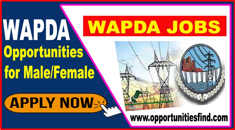 WAPDA Jobs 2024 | Wapda Online Apply - Wapda Career 
