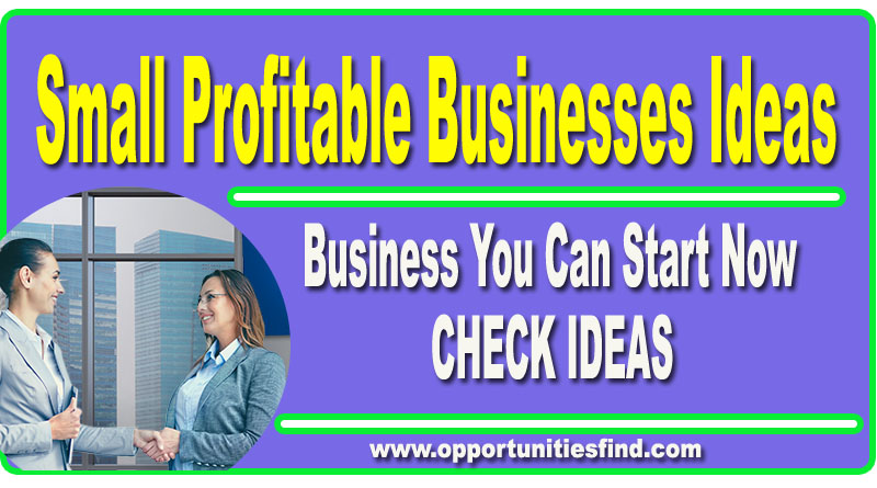Most Profitable Small Businesses in 2023 - You Can Start Now