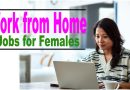 Work from Home Jobs for Females Beginners 2023 | Job at Home for Ladies