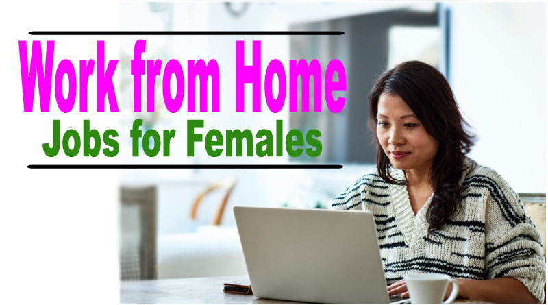 Work from Home Jobs for Females Beginners 2024 | Job at Home for Ladies  