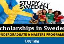 Top 10 Scholarships in Sweden for International Students 2023 (Funded)